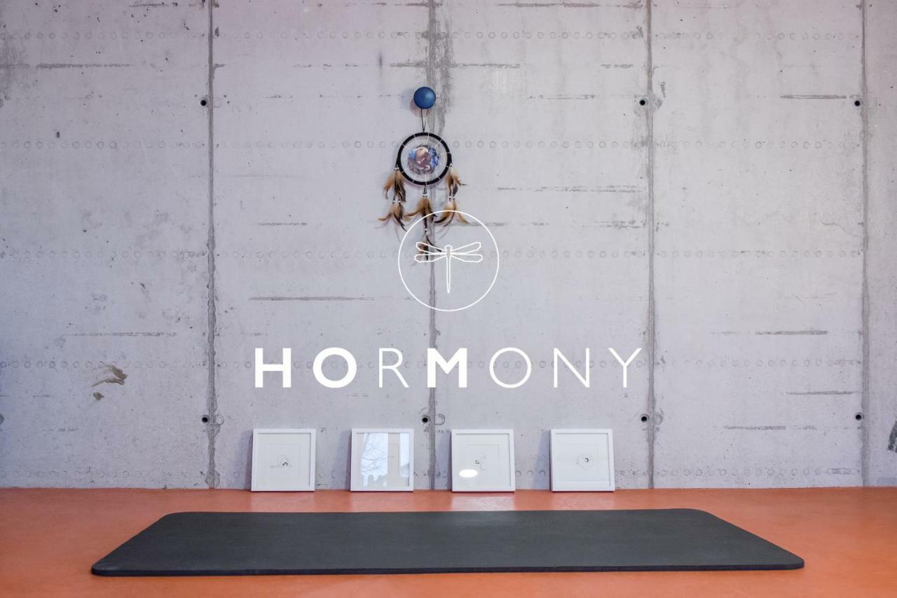 Home Apartments & Yoga Studio Bled-Recica エクステリア 写真